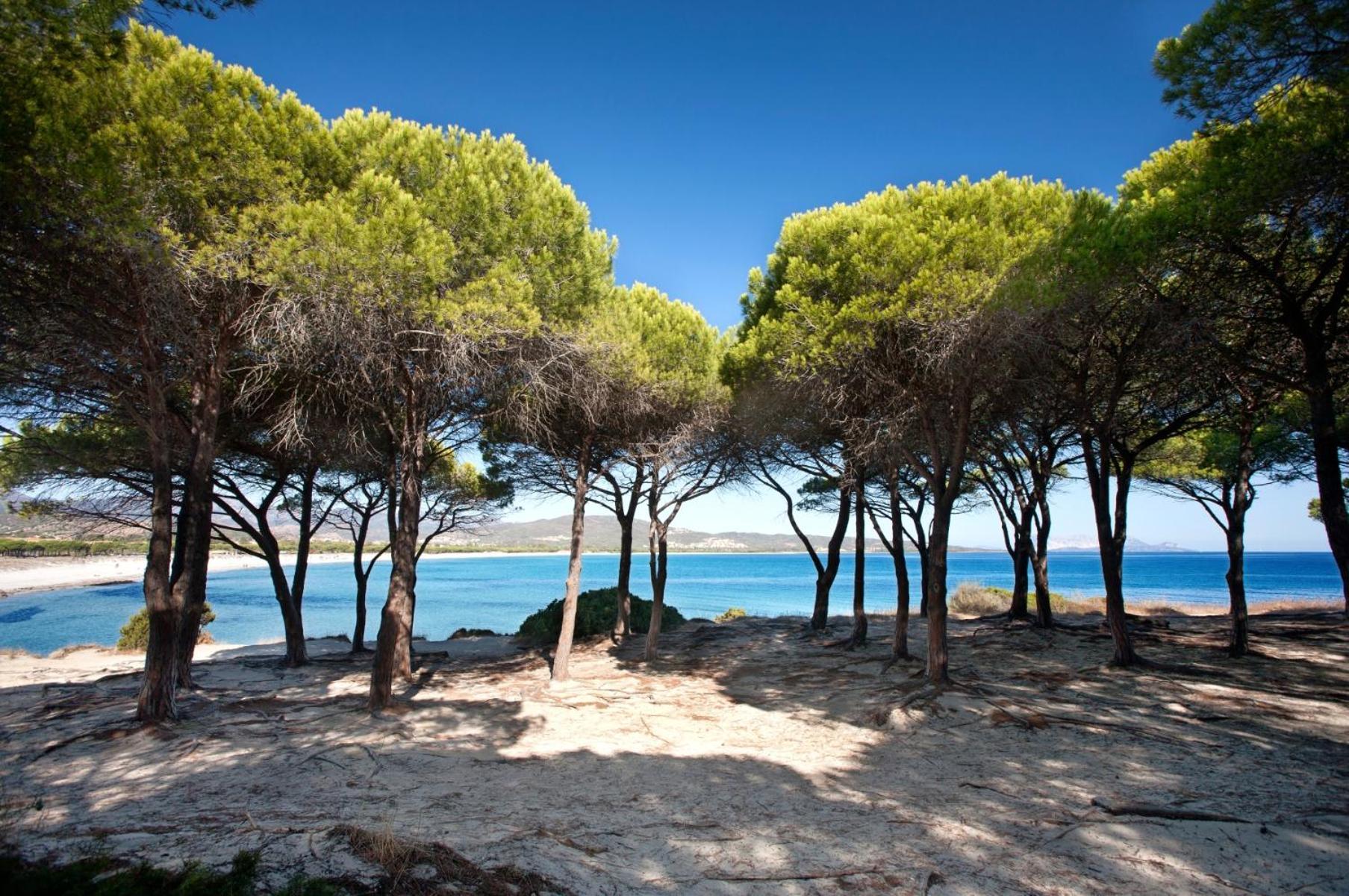 Villetta 1.2 Km Dalla Spiaggia Budoniaffitti Tanaunella Dış mekan fotoğraf